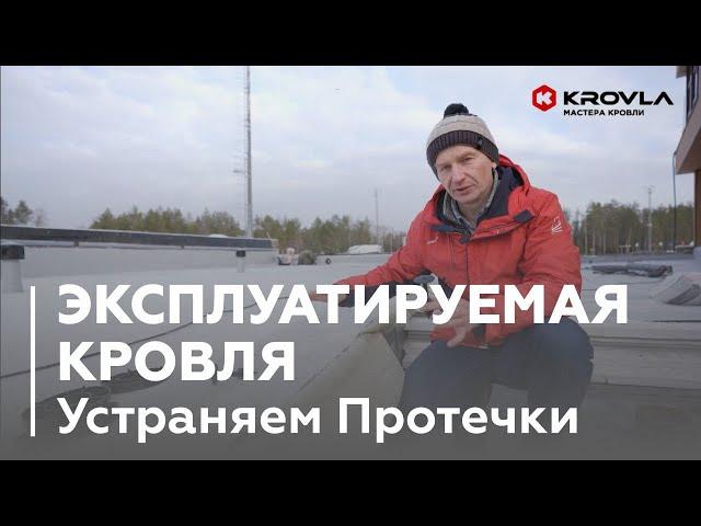 Эксплуатируемая Кровля. Что Это и Как Установить?