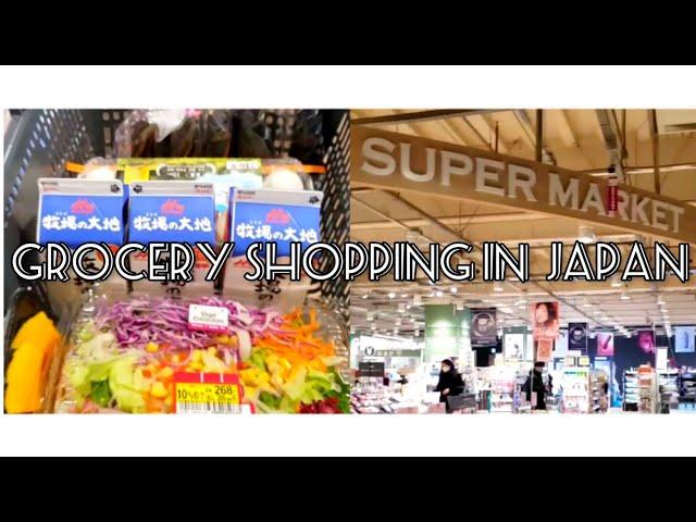 Grocery Shopping in Coaska mall Japan 