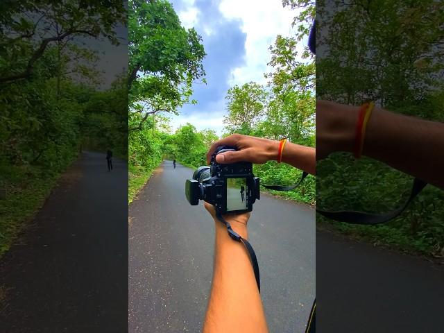 Nikon 70-300 mm lens photoshoot #short #shorts #ytshorts  #photography #camera #india #photoshoot