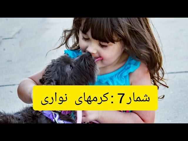 12 بیماری وحشتناک که از حیوانات خانگی به انسانها سرایت میکند