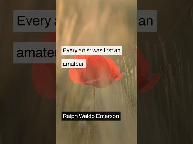 From amateur to artist. Keep creating! 