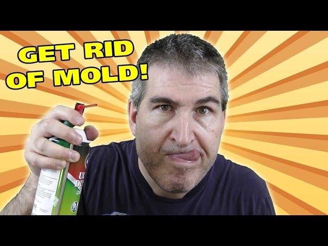 GET RID OF MOLD FAST! - Easy Everyday Solutions