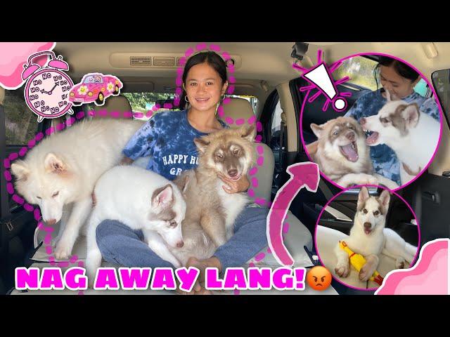 Stuck In A Car With 3 HALIMAW Challenge! | NAGKAGULO! | Husky Pack TV