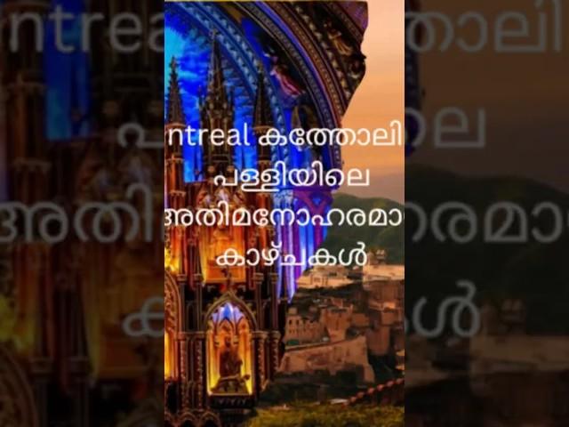 Montreal യാത്ര 2024|#shortsfeed #shorts