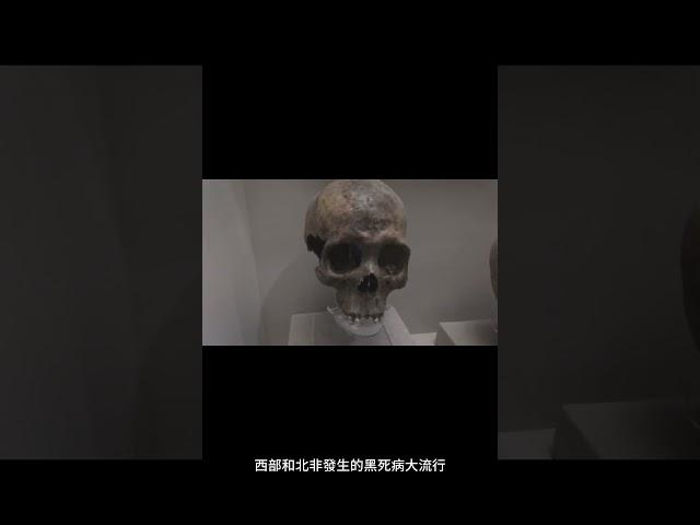 黑死病的起源是什麼？ #shorts