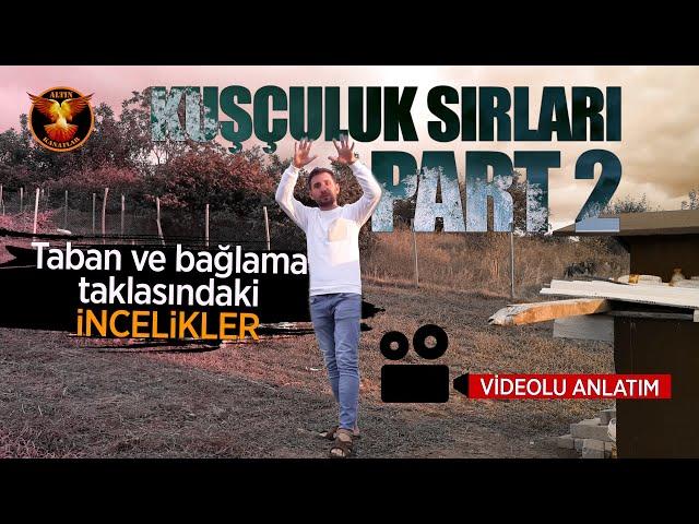 Kuşçuluk Sırları PART 2 / Altın Kanatlar