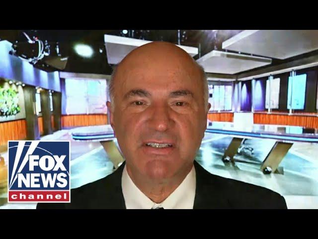 Kevin O'Leary blows up the electric car 'fantasy'