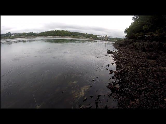 lure fishing menai straits