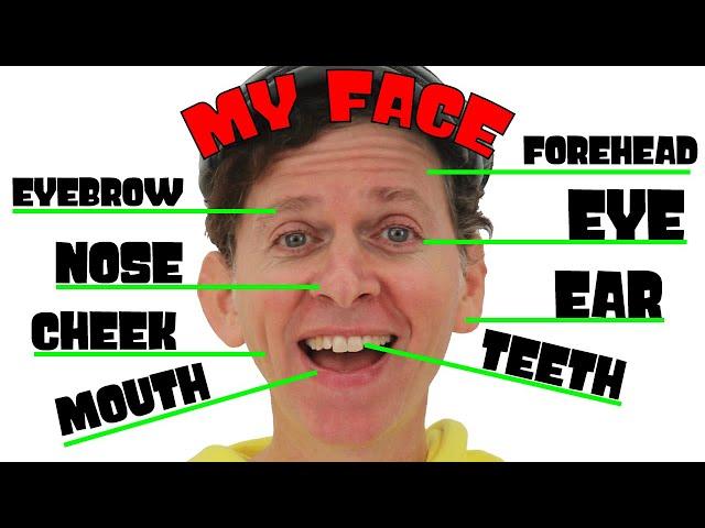 My Face Song with Matt | Body Parts | Dream English Kids