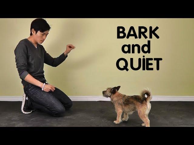 Teach Dog to Stop Barking - Bark and Quiet on Cue