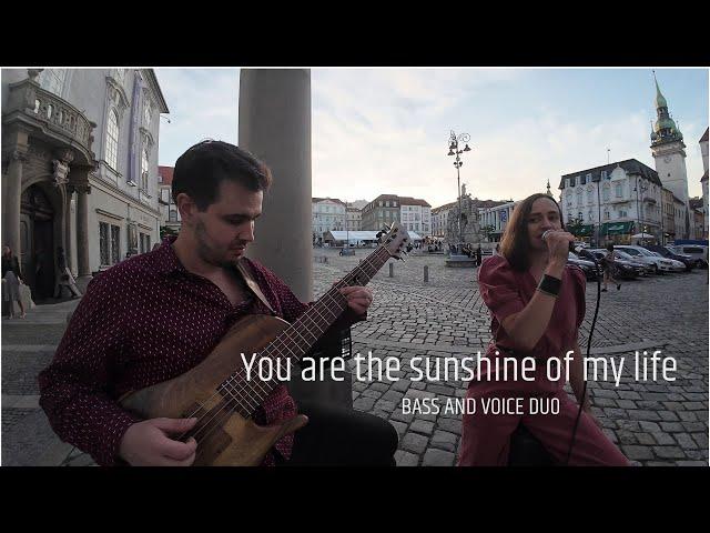 You are the sunshine of my life - Alice Hamplová