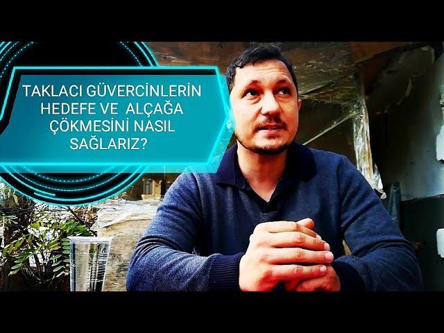 OYUN KUŞUNUN  Hedefe Çökmesi İçin Ne Yapmak Gerekir? |SEFERLİ GÜVERCİN |