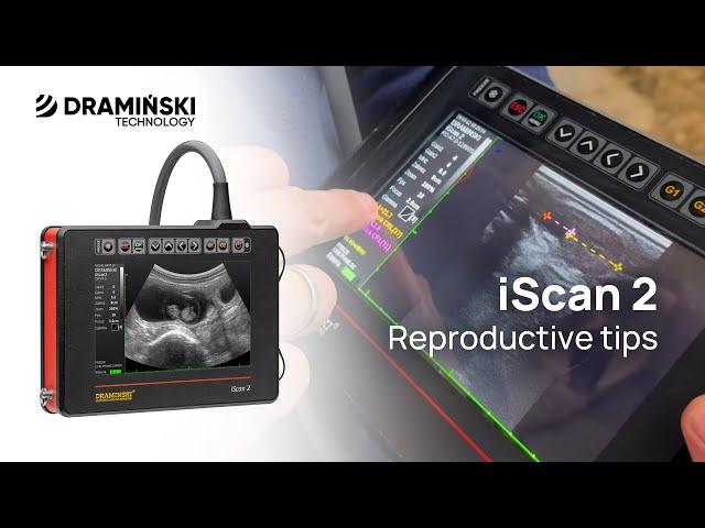 Tips for using ultrasound scanner for cow reproduction – with iScan 2