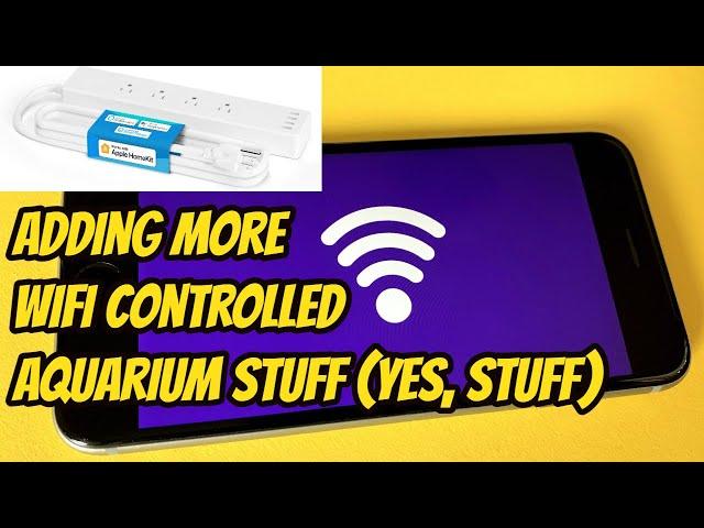 Adding wifi power strip to the fish tanks for controlling lights