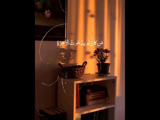 القرآن الكريم نجاة الإنسان