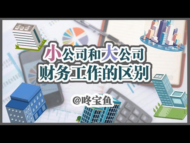 小公司和大公司财务工作的区别