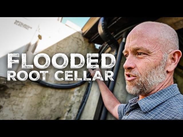 Fixing the Flooded Root Cellar