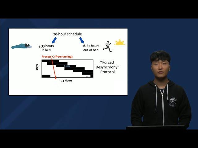 Exploring Processes C and S Part 2: Forced Desynchrony