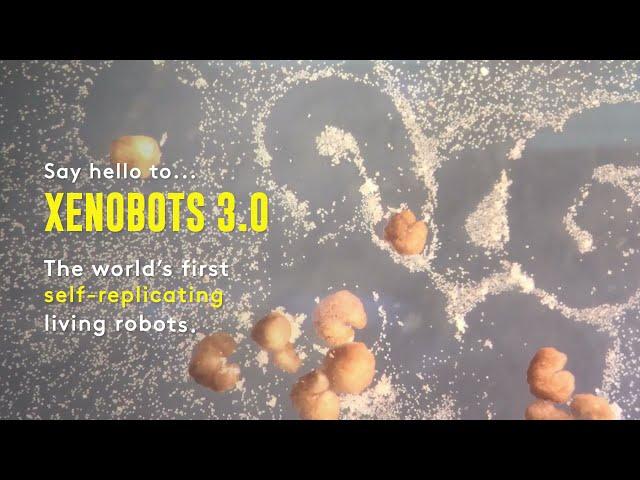 Xenobots: Building the First-Ever Self-Replicating Living Robots