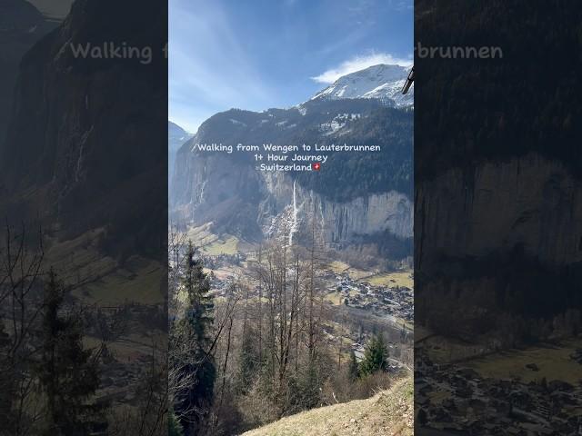 Exploring the Path from Wengen to Lauterbrunnen | Swiss Alps Walk #youtubeshorts #shorts