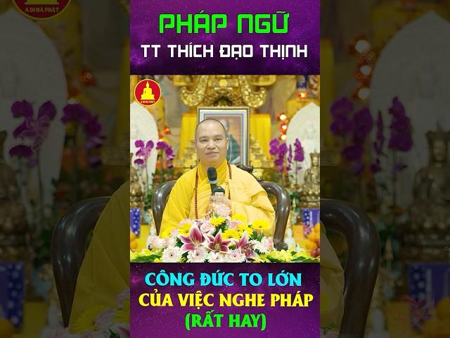 Công đức lớn khi nghe Pháp mỗi ngày┃Thầy Thích Đạo Thịnh #shorts