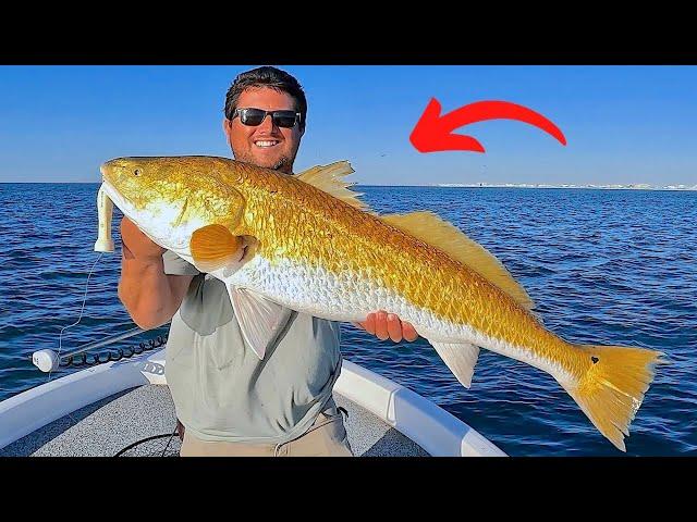 Fishing a Popper in the Gulf for Giant Bull Redfish! [EPIC Results]