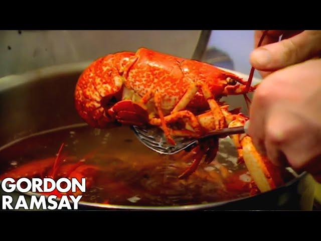 Cooking Lobster with Jeremy Clarkson | Gordon Ramsay