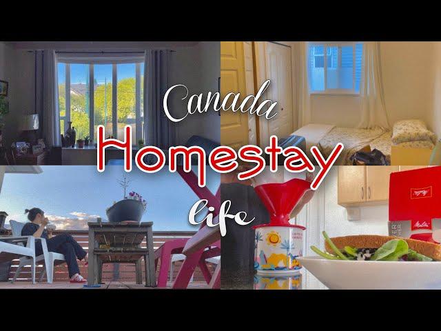 캐나다 홈스테이 이사ㅣ홈스테이 소개ㅣ어학연수일상(ft.해외송금꿀팁)ㅣCanada homestay