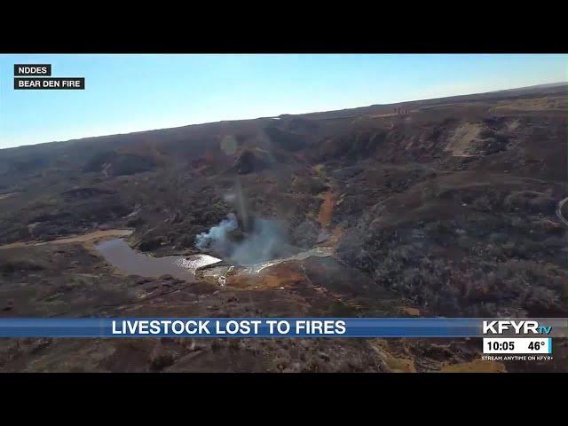 NDSU Extension Agency reports number of livestock lost to wildfires