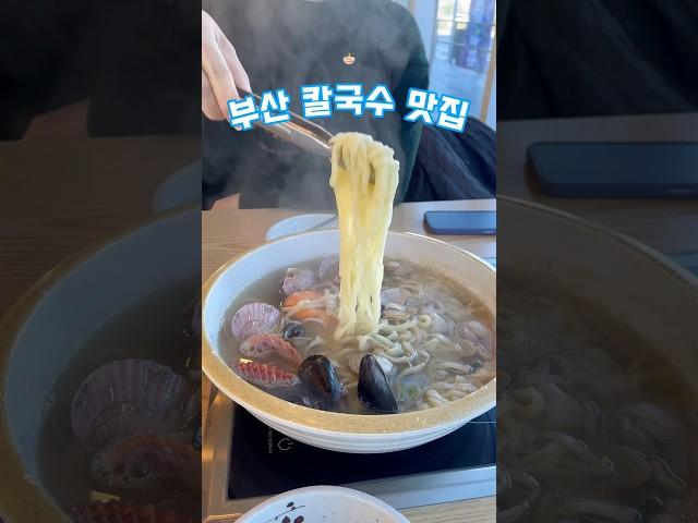 부산 기장 칼국수 맛집 추천드립니다 #부산여행 #부산맛집 #부산맛집추천 #기장맛집 #기장여행 #쇼츠 #shorts #food