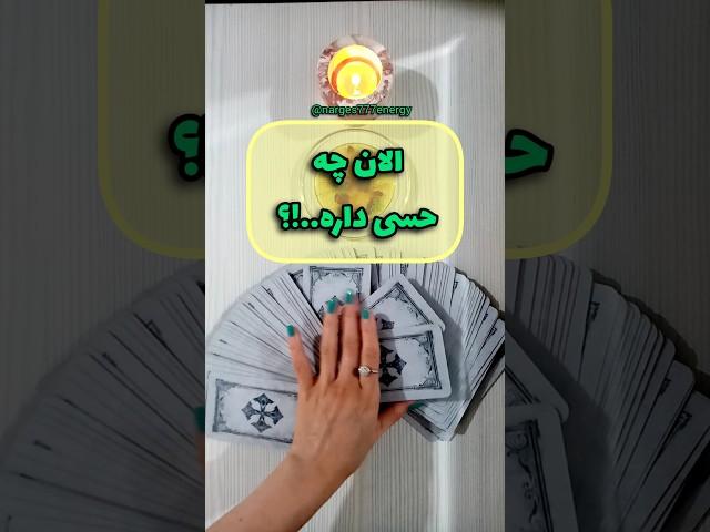 همین الان چه حسی داره..!؟ فال تاروت روزانه #تاروت_احساسی  #فال_روزانه  #fall  #shortsvideo