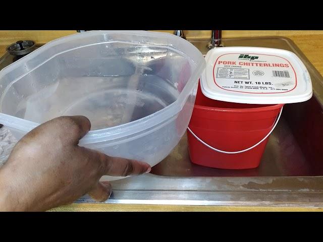 The BEST way to clean Pork Chitterlings/ Chitlins ( for Beginners) from the Rooty to the Tooty