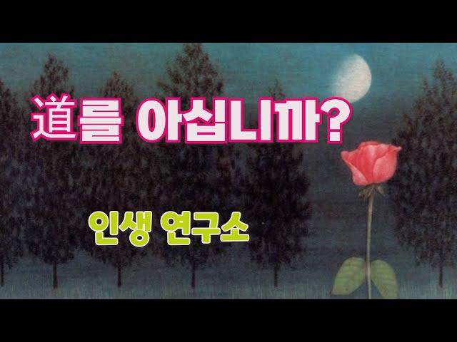 노자(老子)의 도(道)와 소피스트(Sophist)의 도(道). 고르기아스와 플라톤