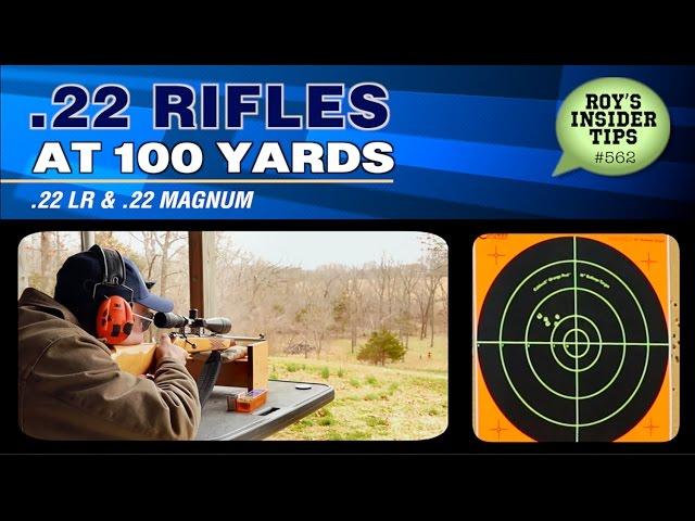 .22 Rifles At 100 Yards