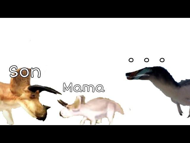 Roleplayers on DWM be like | Roblox