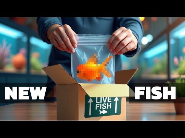 THIS TROPICAL FISH UNBOXING HAS EVERYTHING - FROM AMAZING RAYS TO FISH WE NEVER BROUGHT IN BEFORE.