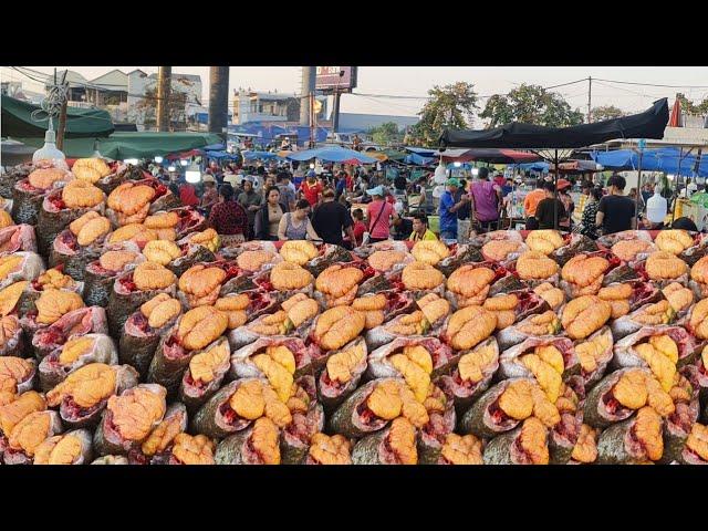 1h Full in The Most Crowded Fish Market in Cambodia | Cambodian Lively Fish Market View 2024