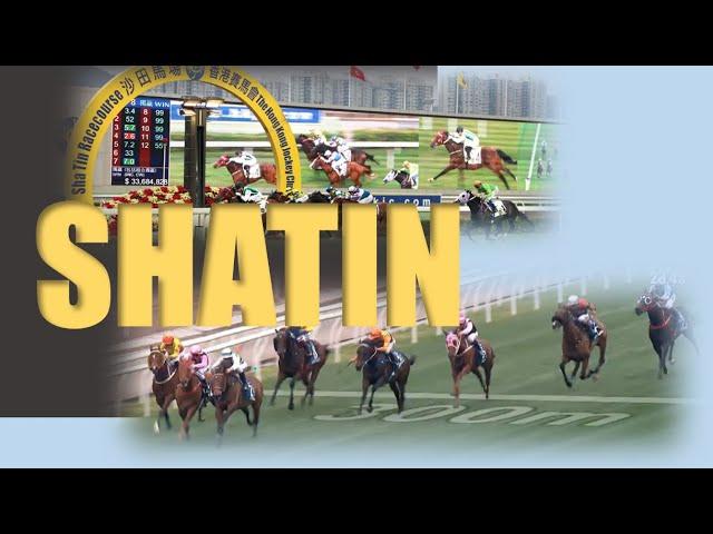 【SHATIN】 HONG KONG HORSE RACE ANALYSIS