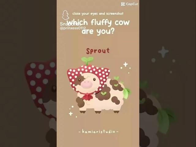 Which fluffy cow are you???