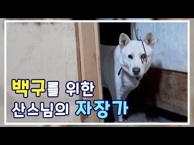 백구를 위해 불러주는 자장가 / 산스님의 자장가 / 힐링 영상 (재업로드)