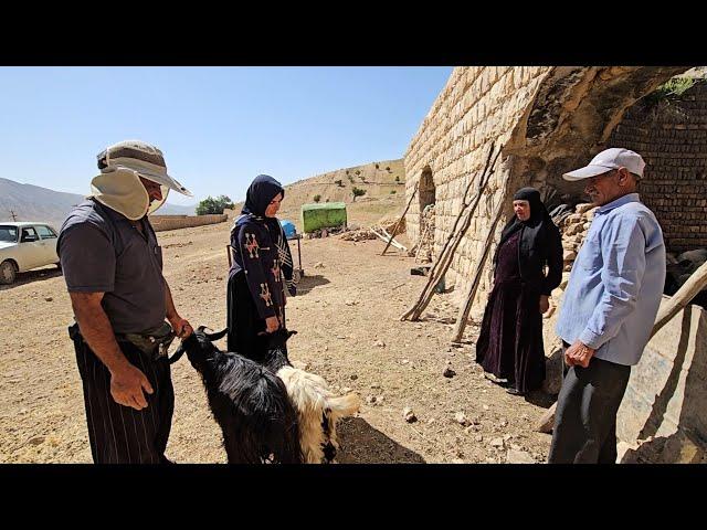 Heartfelt purchase from a nomadic family | Sheep | Journey into the depths of - nomadic life
