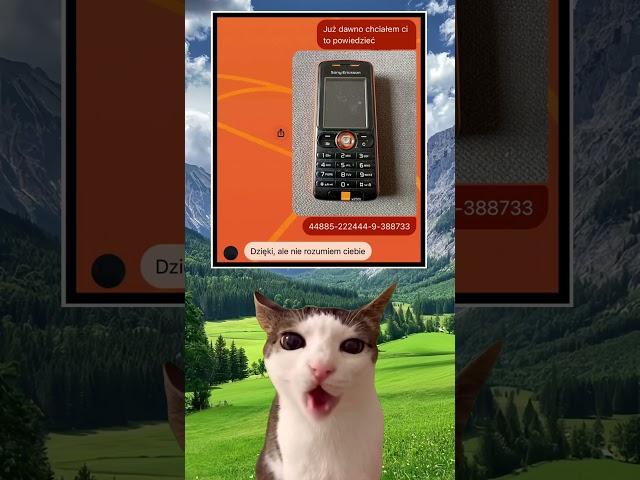 Sony #capcut #meme #polish #funny #polska #popular #cat #kot #shorts #nostalgia #shortsfeed #youtube