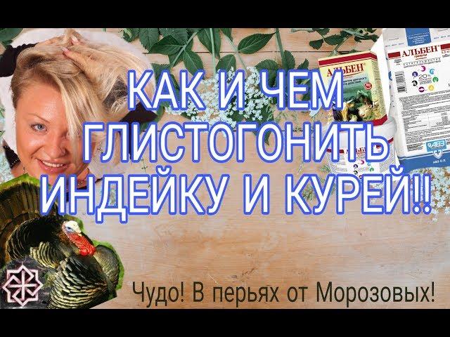 Как и чем глистогонить индейку.