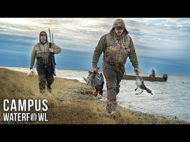 Diver Duck Hunting the Chesapeake Bay | Redhead Redemption