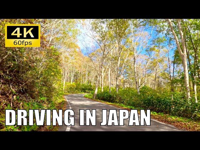 【Driving in Japan】Shimizudaira Forest Rd. : Kamikijima-Kayanodaira, Nagano [Insta 360 Ace Pro 4K60P]