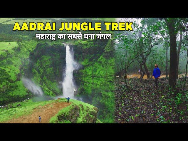 AADRAI JUNGLE - The Dark Forest Of Maharashtra | Aadrai Jungle Trek Complete Information