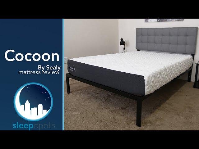 Sealy Cocoon Mattress Review