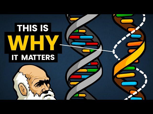 DNA vs RNA - Differences in Form and Function | Stated Clearly