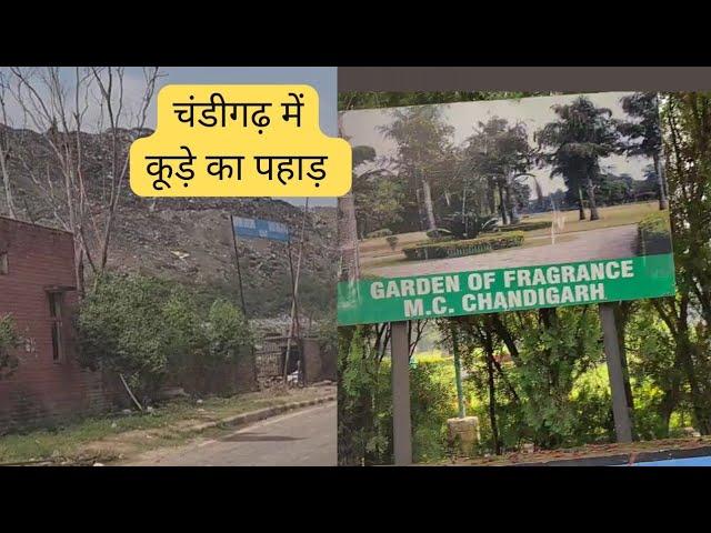 चंडीगढ़ में कूड़े का पहाड़ |Chandigarh sec 36 park | jagdeep attawa vlog