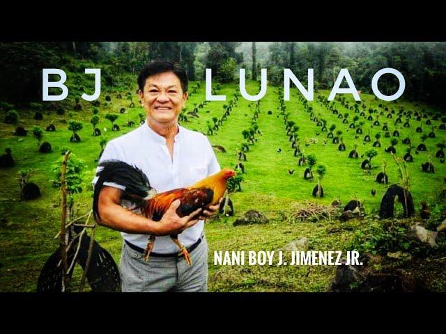 AYAM CANTIK & BERKUALITAS TINGGI DARI FILIPINA (BJ LUNAO - HERNANI BOY JIMENEZ)